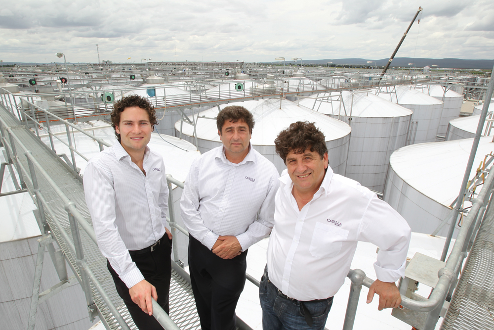 Beer is now on the menu for the Casella family, it's taking a long-term view of its brand, Arvo, which competes against Australia's two dominant brewers Carlton & United Breweries and Lion Nathan