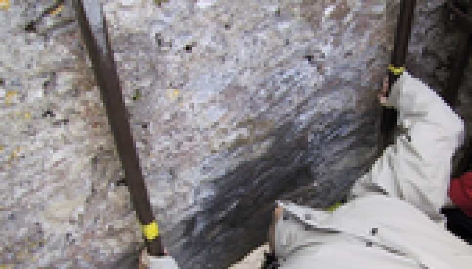 The Blarney Stone is based at the castle owned by the Colthurst family