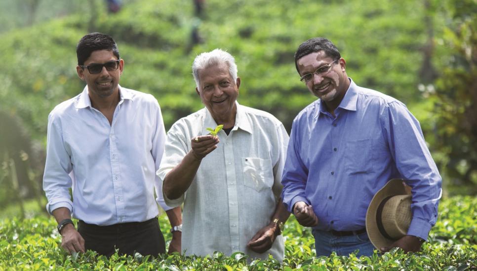 Dilhan C Fernando (right), next generation chief executive of Dilmah, with founding father Merrill J Fernando and elder brother Malik J Fernando in one of the Dilmah tea gardens