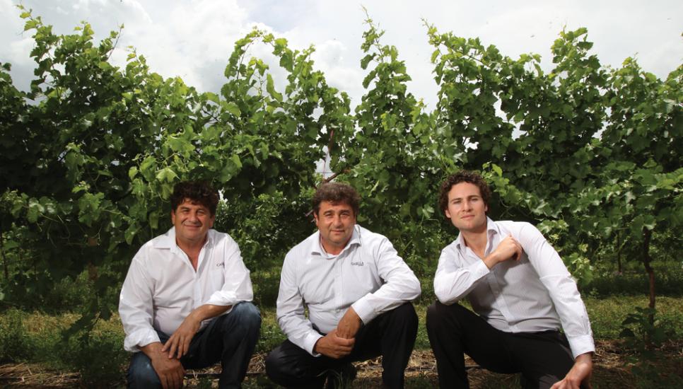 (from left): Joe (director), John (managing director) and Joe's son Daniel (commercial manager) are involved in the day-to-day running of the AUD$400 million business which recently acquired Peter Lehmann Wines