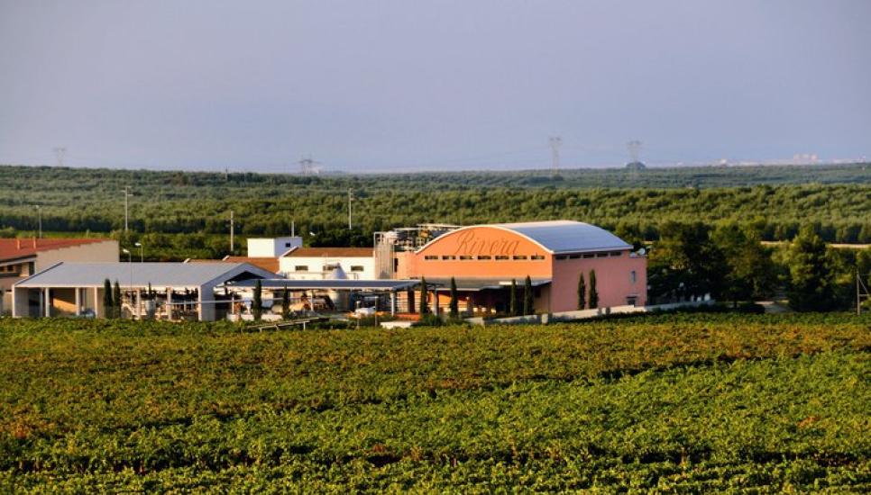 Italian winemaker returns to the family