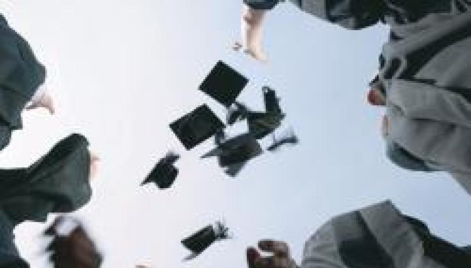 Is a degree key to success or are family members better off jumping straight into the business?
