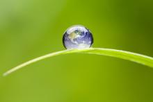 Campden Wealth's ClimateTech Investing Forum 2022